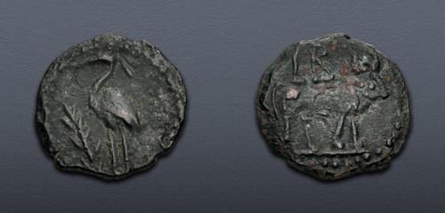Lot 463 image