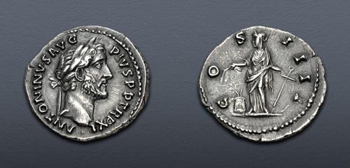 Lot 1101 image
