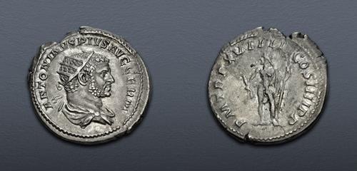 Lot 1134 image
