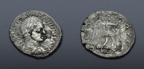 Lot 1141 image