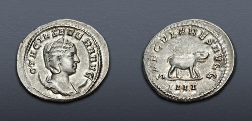 Lot 1171 image