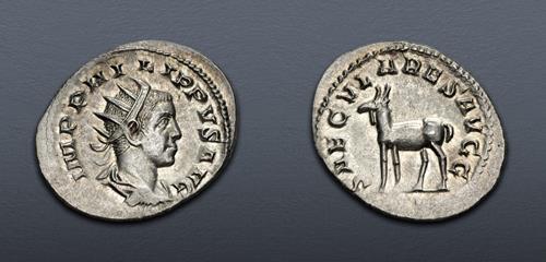 Lot 1174 image