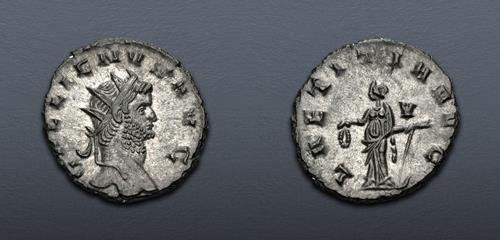 Lot 1185 image