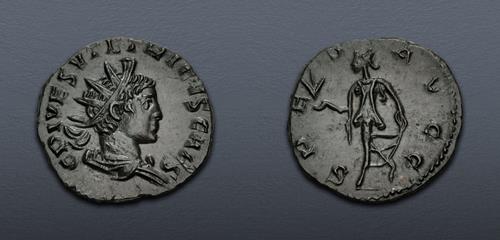 Lot 1202 image
