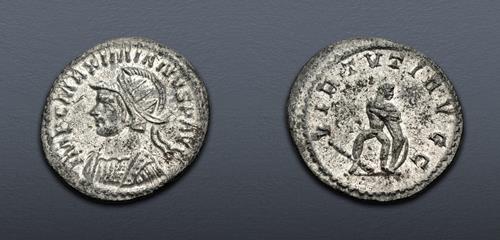 Lot 1217 image
