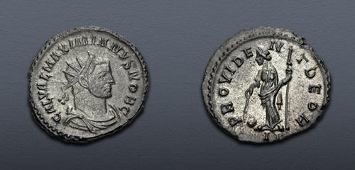 Lot 1227 image