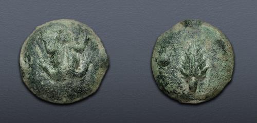 Lot 41 image