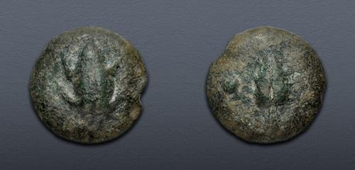 Lot 42 image