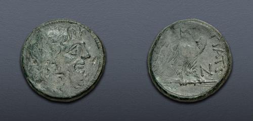 Lot 49 image