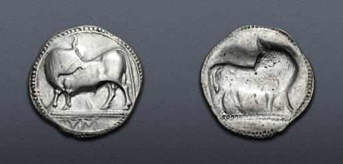 Lot 63 image