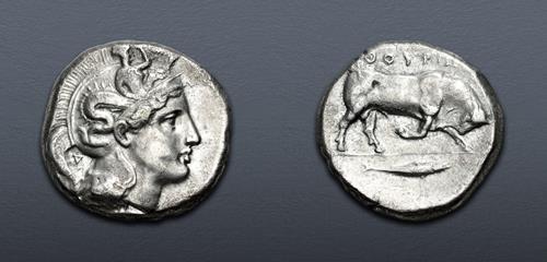 Lot 64 image