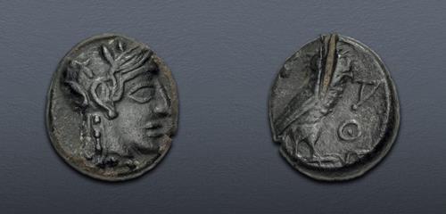 Lot 341 image