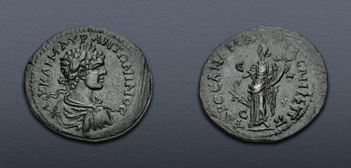 Lot 439 image