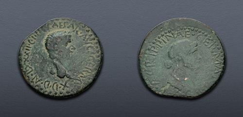Lot 445 image