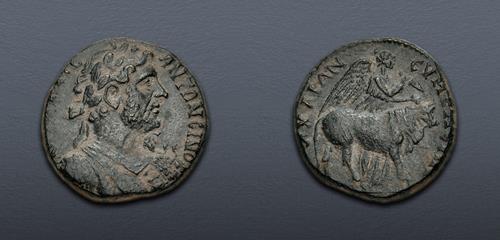 Lot 469 image