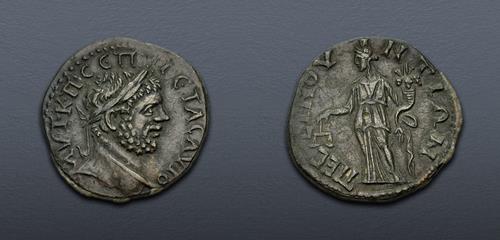 Lot 486 image