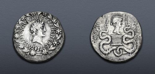 Lot 495 image