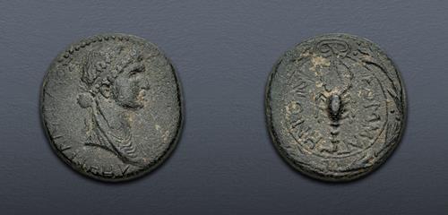 Lot 501 image