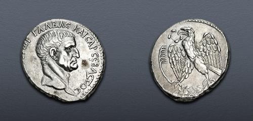 Lot 503 image