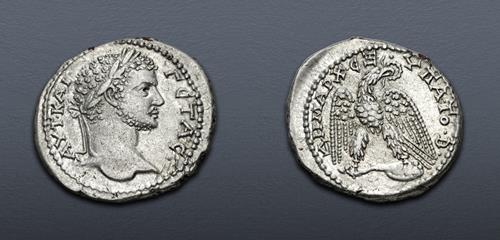 Lot 507 image