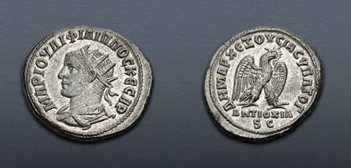 Lot 511 image