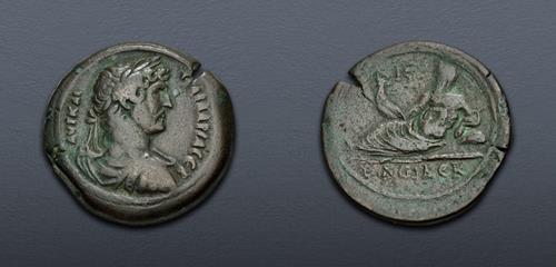 Lot 551 image