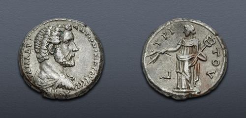 Lot 557 image