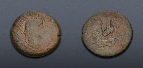 Lot 558 image