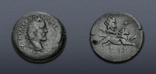 Lot 559 image