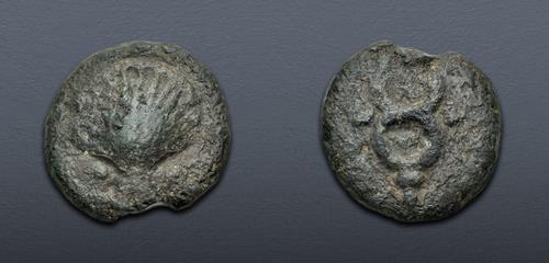 Lot 582 image