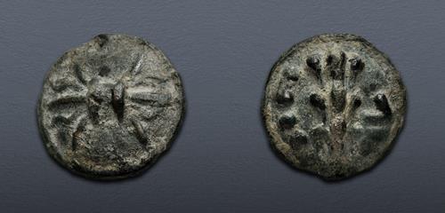 Lot 597 image