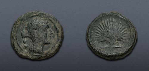 Lot 598 image