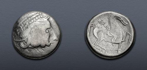 Lot 7 image
