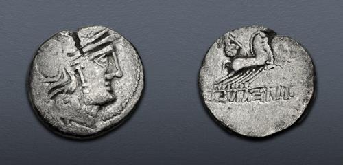 Lot 11 image