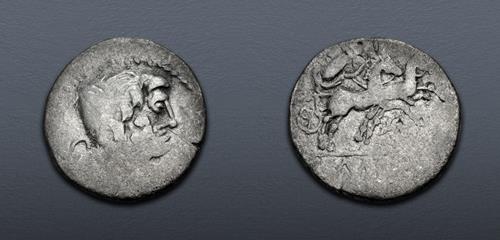 Lot 12 image
