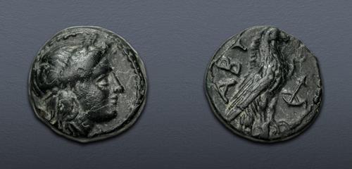 Lot 105 image