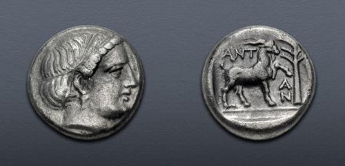 Lot 106 image