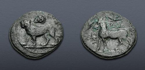 Lot 204 image