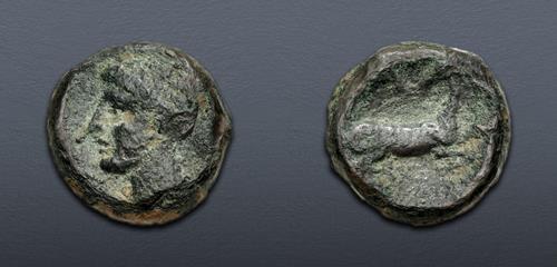Lot 205 image
