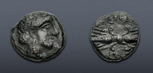 Lot 206 image