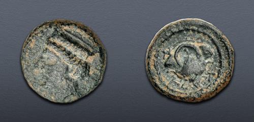 Lot 209 image