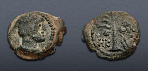 Lot 235 image