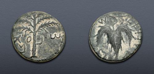 Lot 241 image