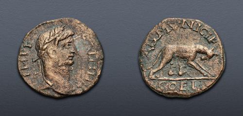 Lot 329 image