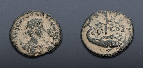 Lot 334 image