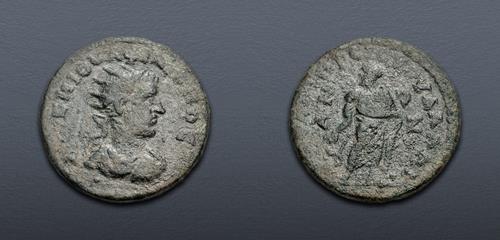 Lot 355 image