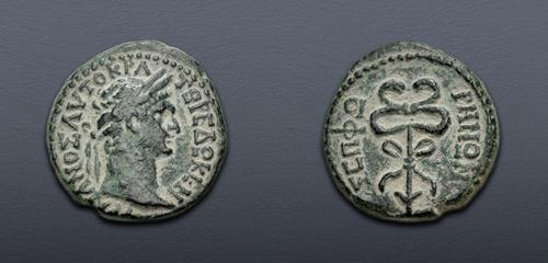 Lot 408 image