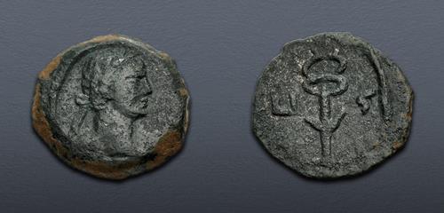 Lot 422 image