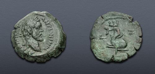 Lot 431 image