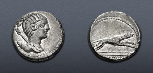 Lot 457 image